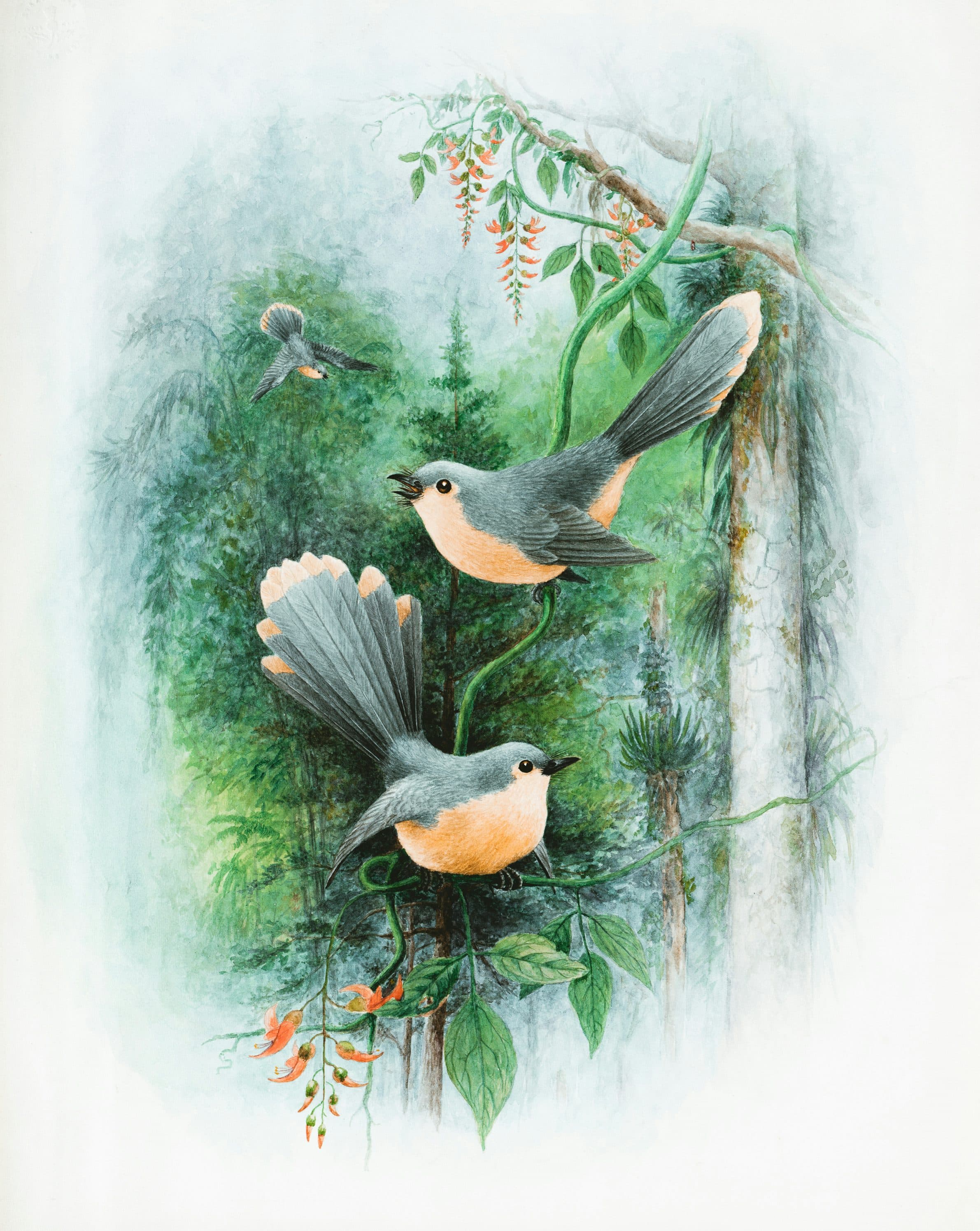 Watercolour birds gathered together among green branches